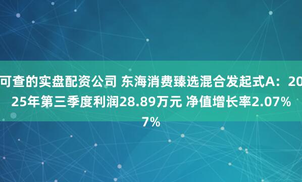 可查的实盘配资公司 东海消费臻选混合发起式A：2025年第三季度利润28.89万元 净值增长率2.07%