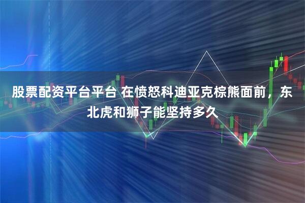 股票配资平台平台 在愤怒科迪亚克棕熊面前，东北虎和狮子能坚持多久