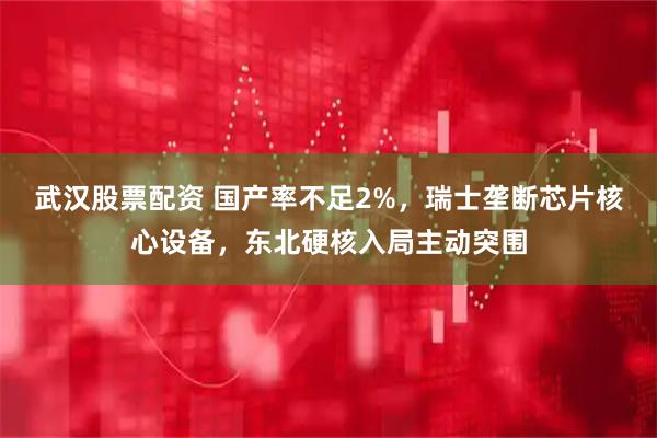 武汉股票配资 国产率不足2%，瑞士垄断芯片核心设备，东北硬核入局主动突围